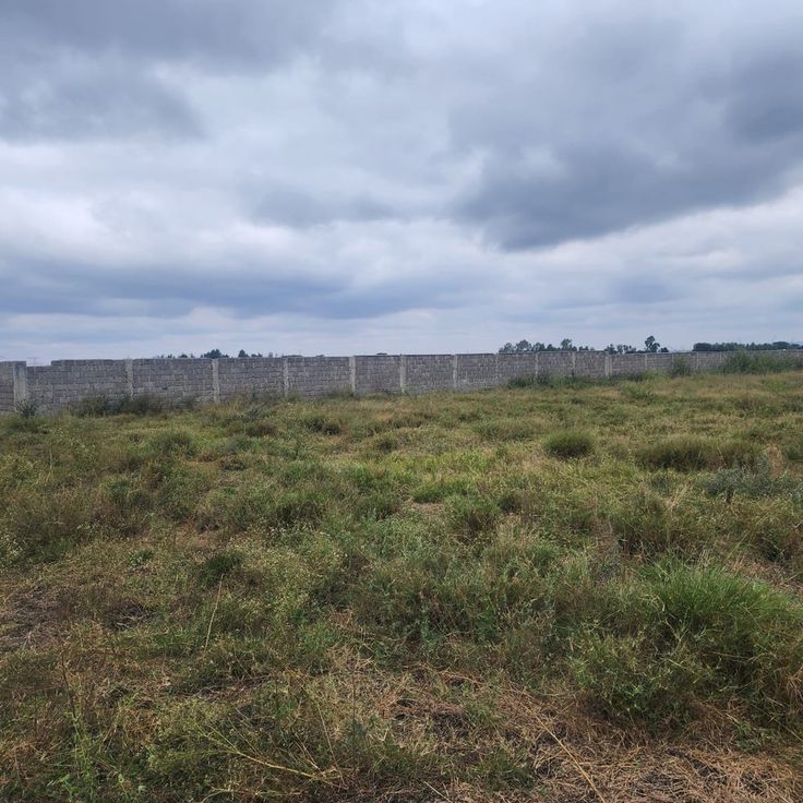 Real estate and investment services